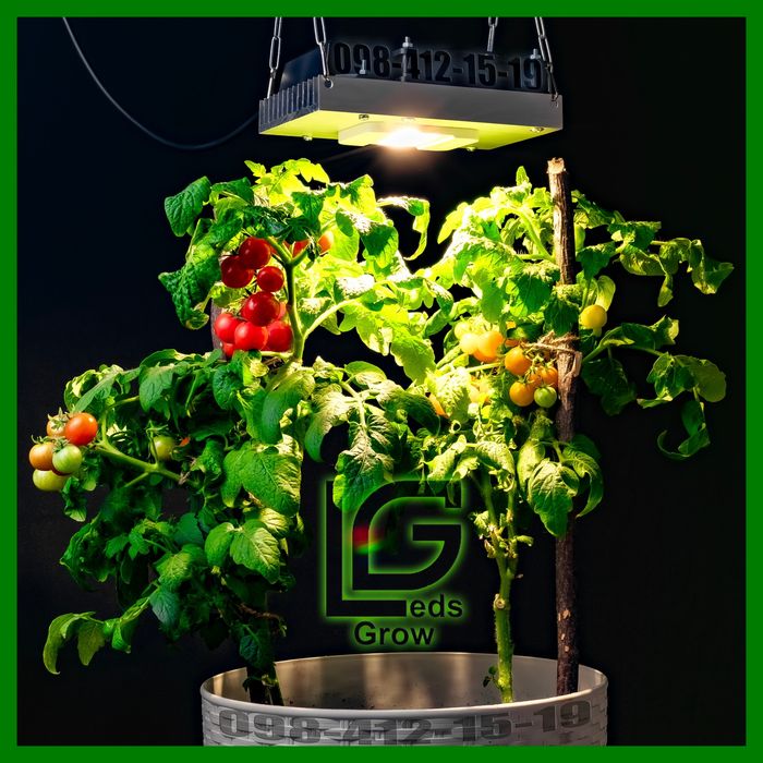 ФИТО лампа 3500k 660nm UV фитолампа цветов рассады растений гроубокс