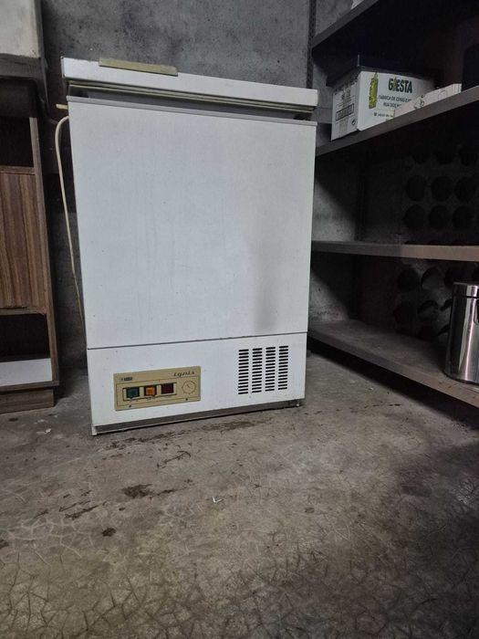 Arca Congeladora