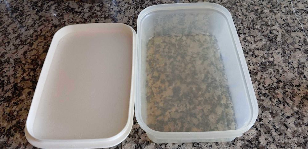 Large Tupperware Cheese Container444752445582888961
