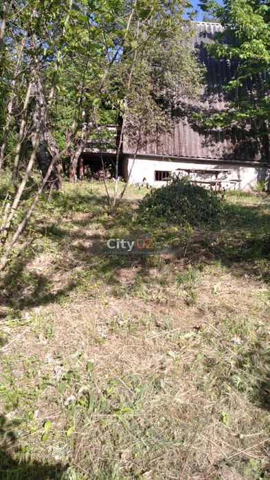 Продається дача в с. Кам’яниця