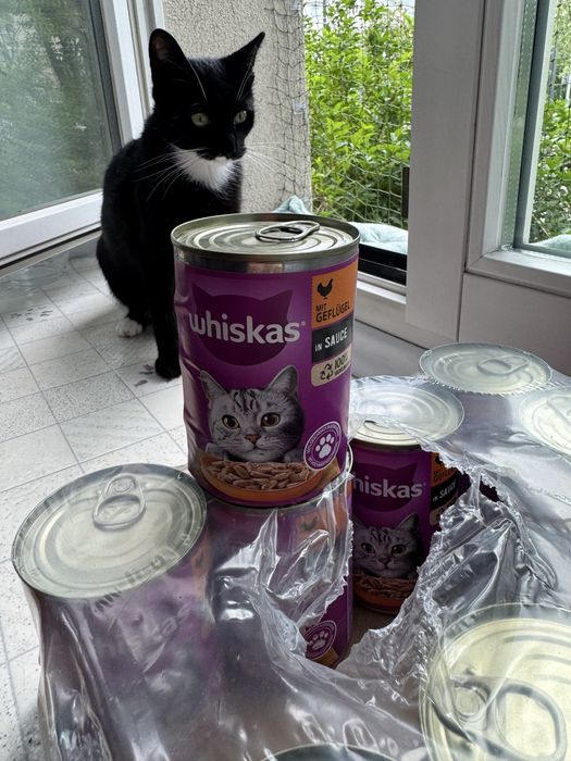 karma mokra dla kota whiskas