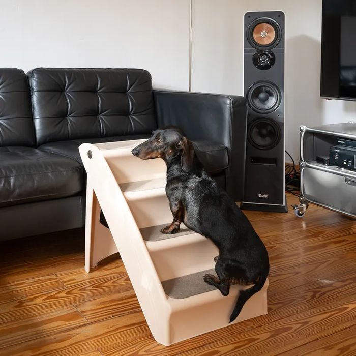 Easy Up Stairs Schody dla Psa 61x40x49cm do 40kg