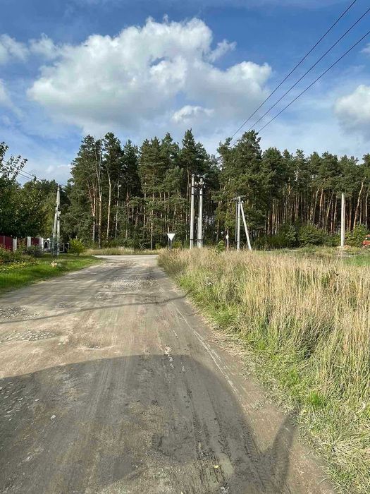 Данилівка ділянка 15 соток біля лісу