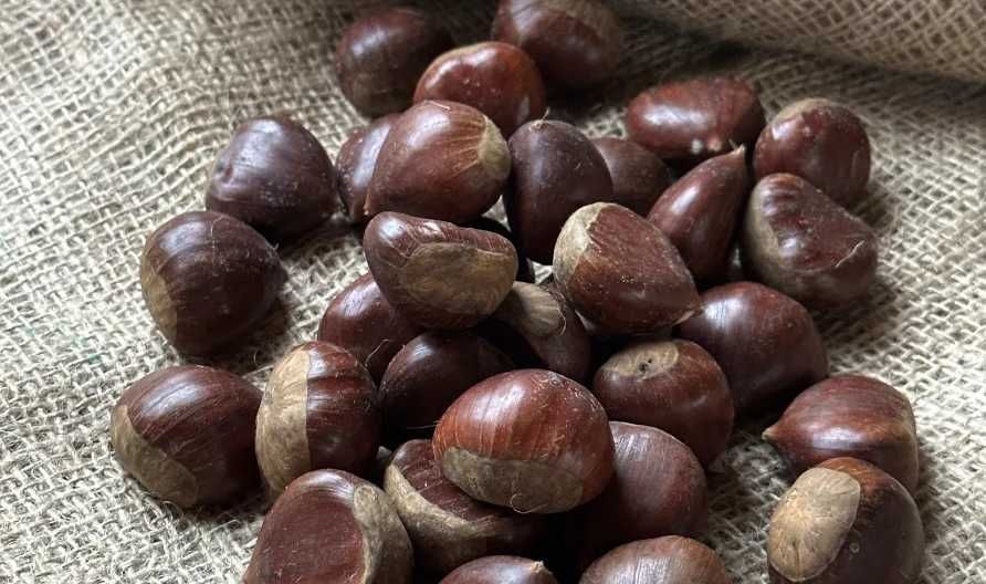 Vende-se Castanha Grande e de boa QUALIDADE!!!