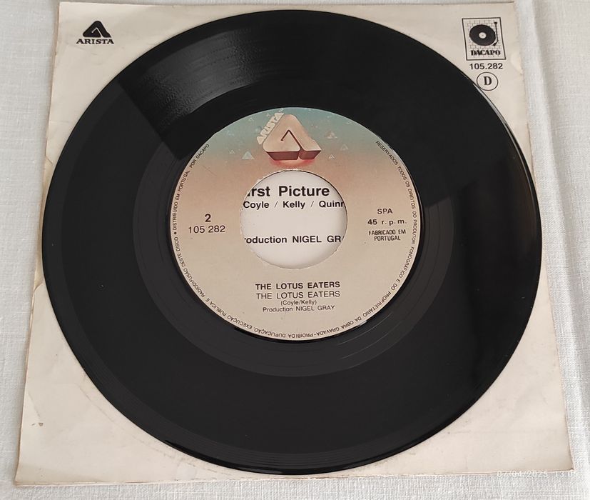 The Lotus Eaters - The First Picture Of You - Single