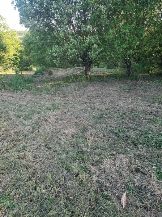Roztocze Zachodnie Działka Komodzianka Góry - Widok 2
