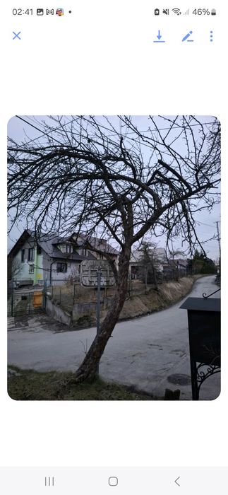 Oddam za darmo drewno