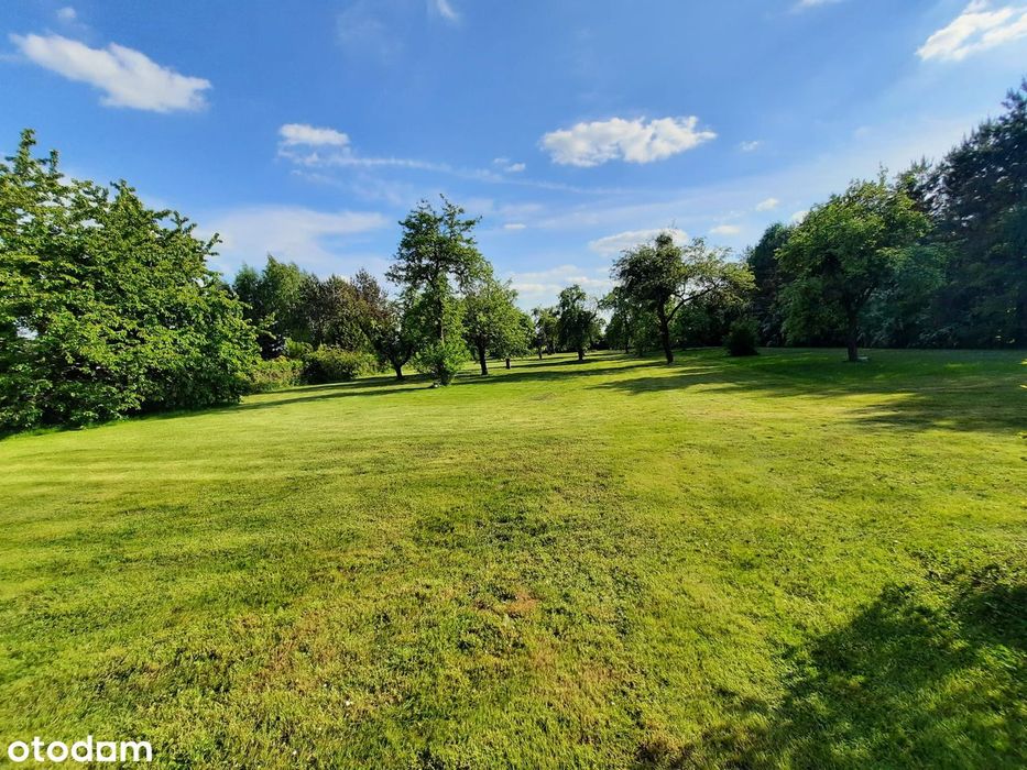 Działka 6600 m2 | Dom 170 m2| Media | 2 dojazdy | Możliwy podział