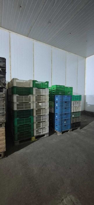 Skrzynki plastikowe do owoców