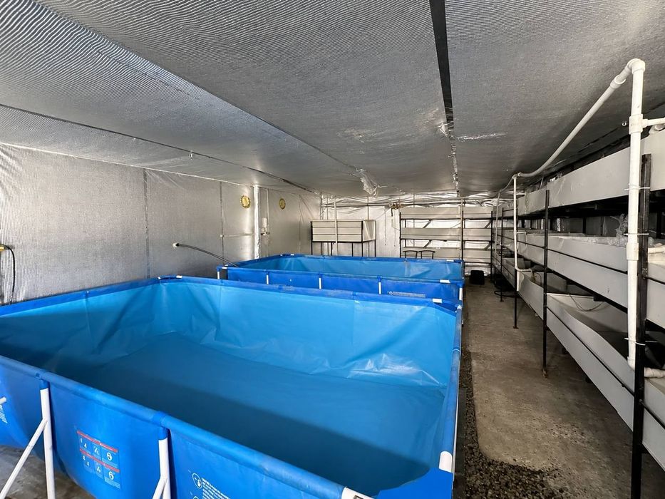 Оренда фермерського господарства | 810 м² | Боволюби | Поблизу Луцька