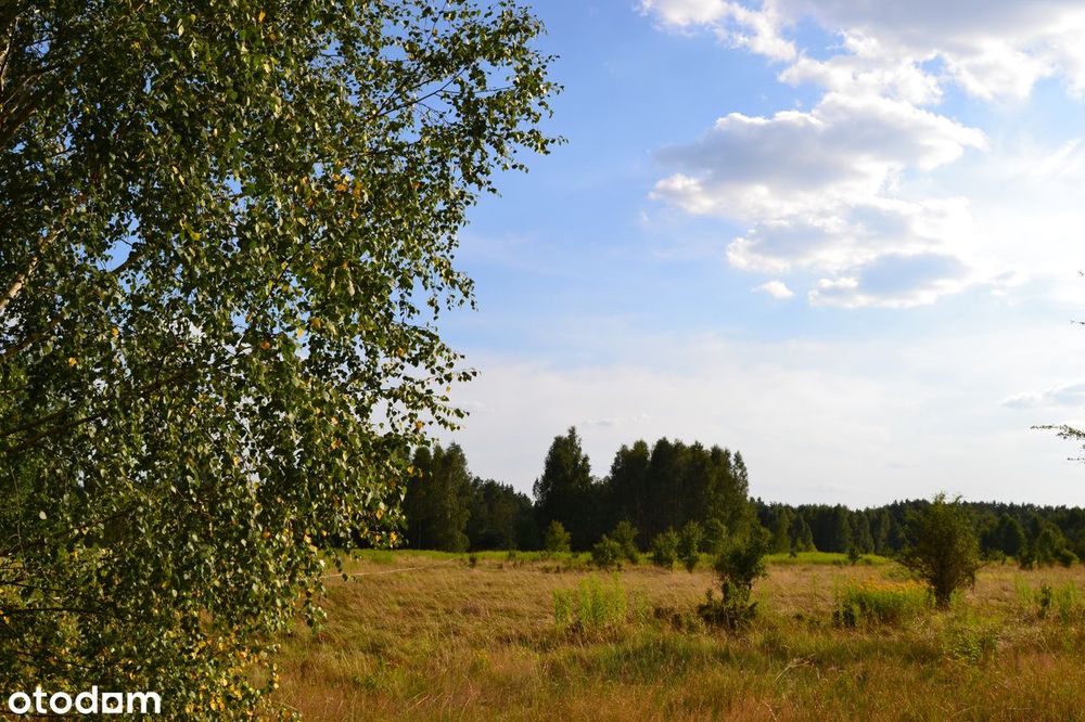 Malownicze działki budowlane w otulinie leśnej