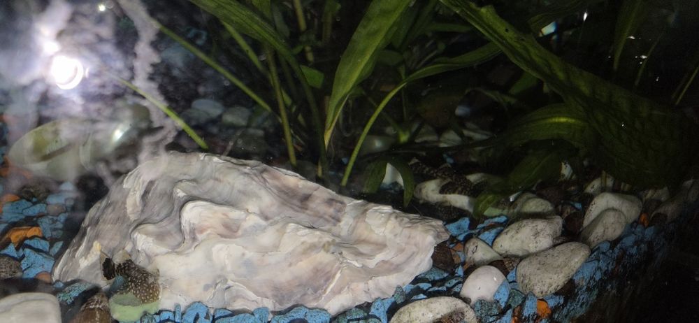 Два акваріума один на 120 л. Менший на 40