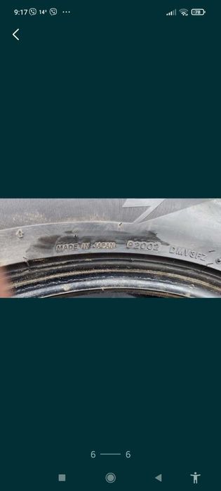 Продам шину зимові Bridgestone BlizzakDM-V3 275/50 R 20 113T