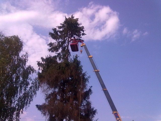 Расчистка участков, СПИЛ ДЕРЕВЬЕВ, покос травы Дробилка ВывозПо Днепру