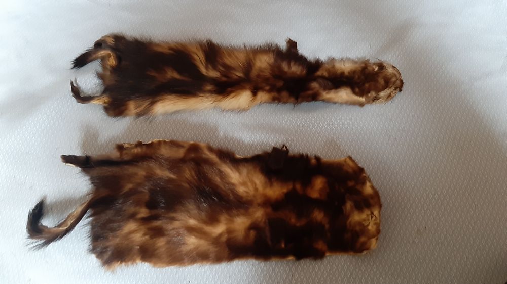 Шкірки фретка цілі чулок