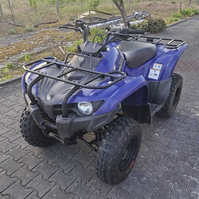 Moto4 Yamaha Grizzly 300 (14)
