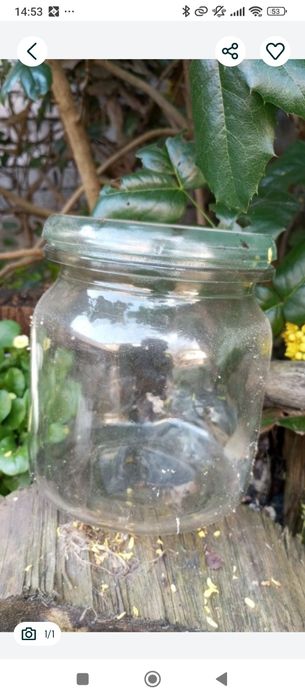 Słoiki 10 sztuk weki