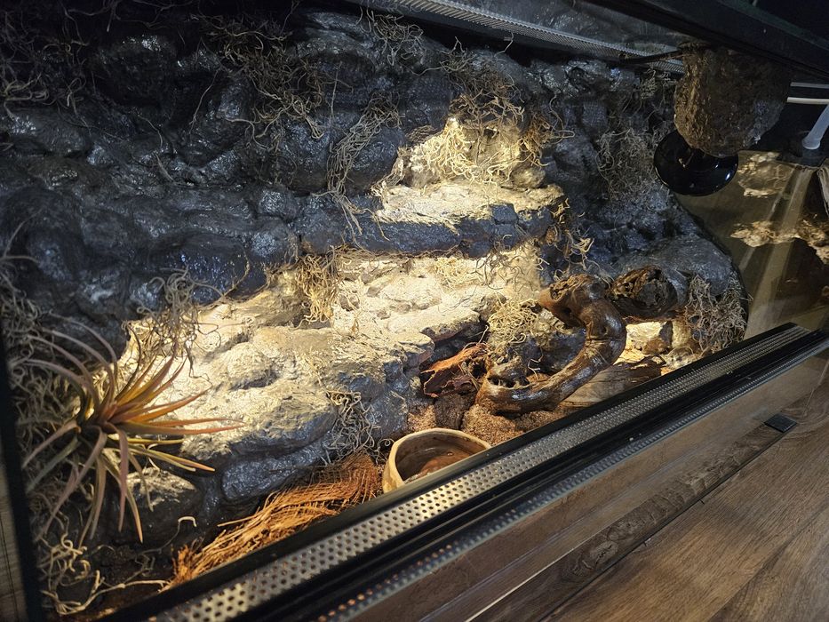 Renowacja/budowa terrarium