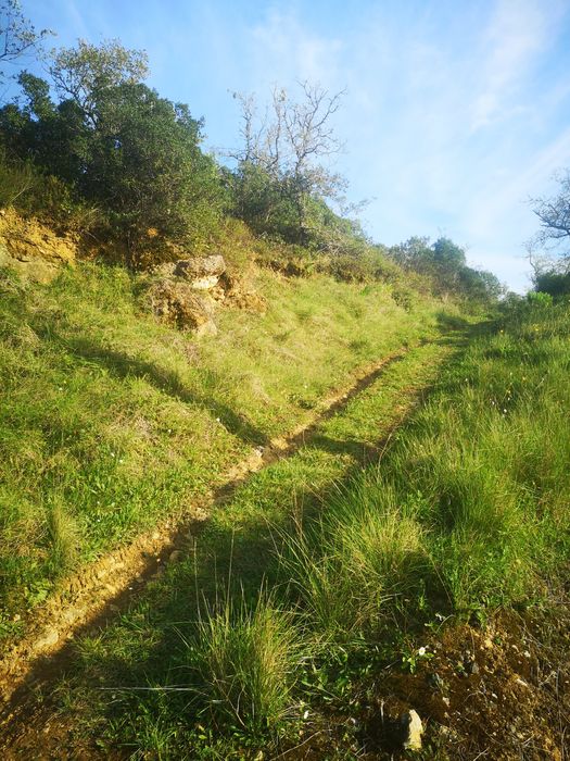 TERRENO Dos Pássaros