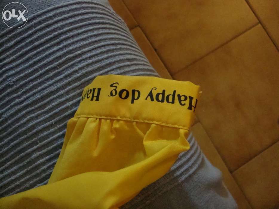 Roupa de pet com capucho