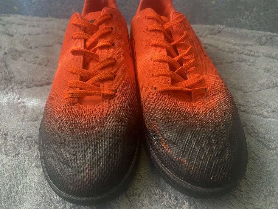 Сороконошки оранжевие