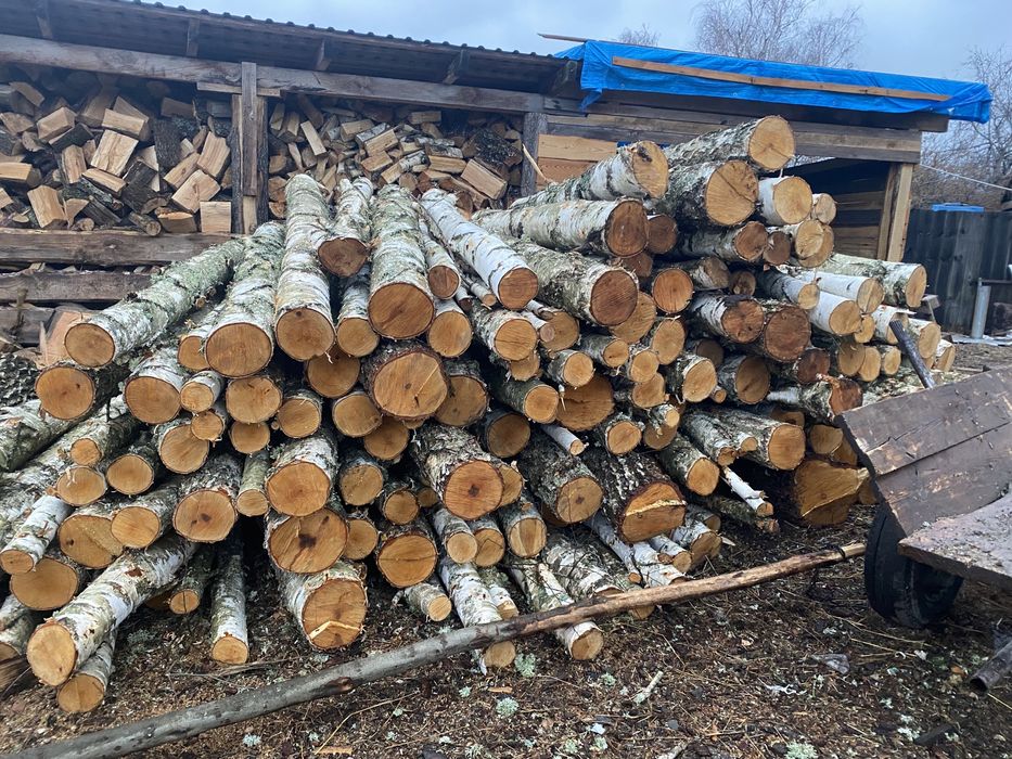 Дрова паливні продам