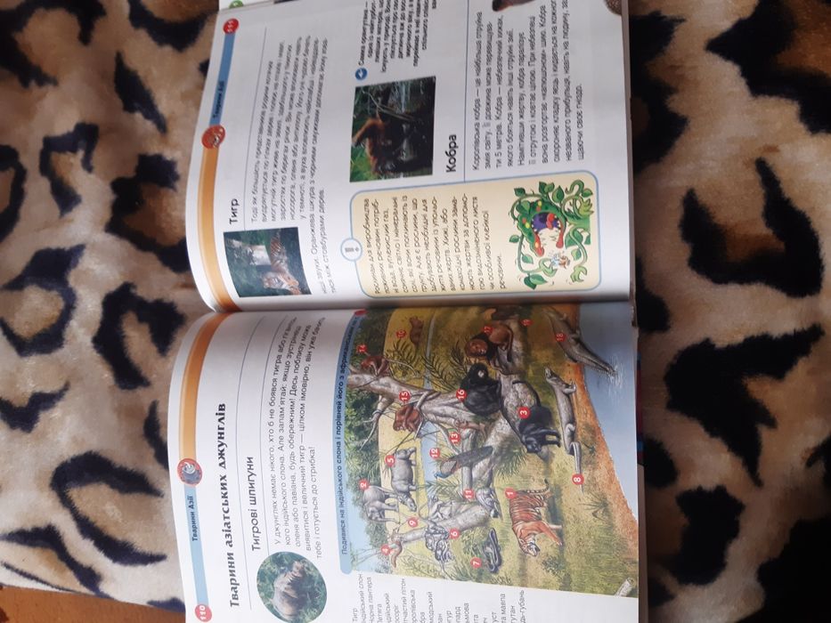 Сучасна Дитяча єнциклопедія