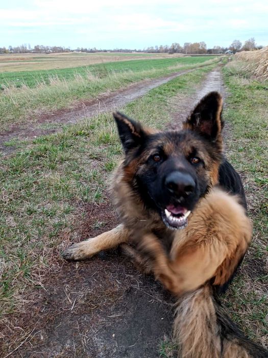 Шукає нову родину