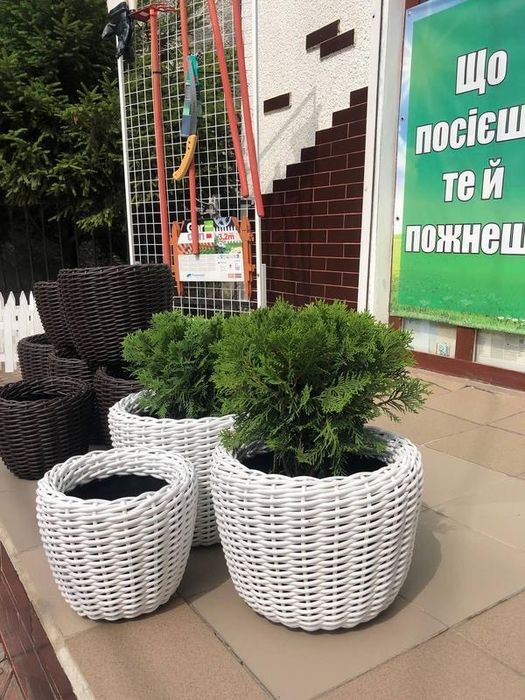 Ротанг для кашпо білий