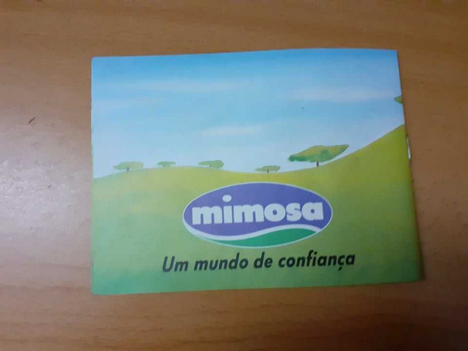 Livro Infantil: Vamos conhecer a Mimosa