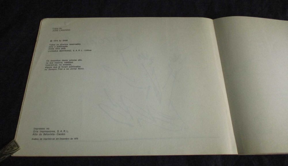 Livro O Guarda Ricardo Sam Cartoon