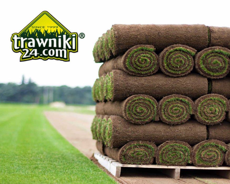 Trawa w rolkach 35m2 - paleta z dostawą CHŁODZONA 6°C