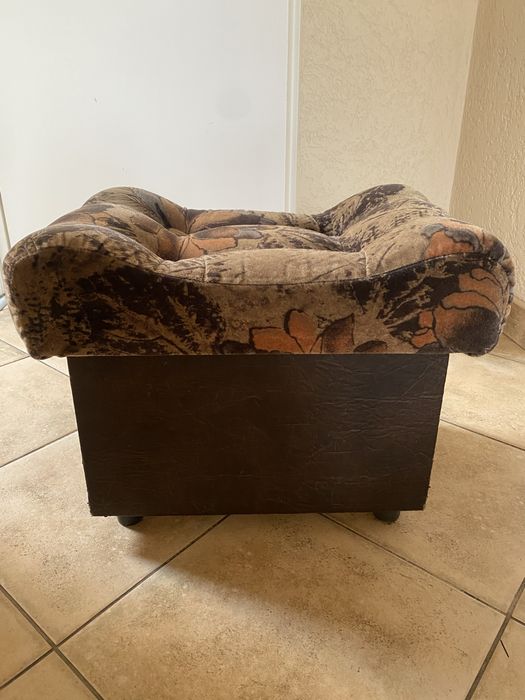 Pufa otwirana brazowa