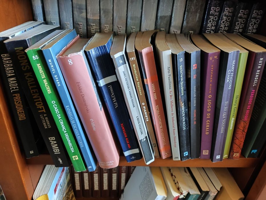 Livros Ken Follett, modignani, mia couto, wiggins Clark, Jung chang