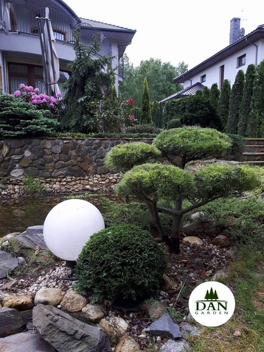 #Odwodnienia, #nawadnianie , #minikoparka, #ładowarka#niwelacja #Ogrod