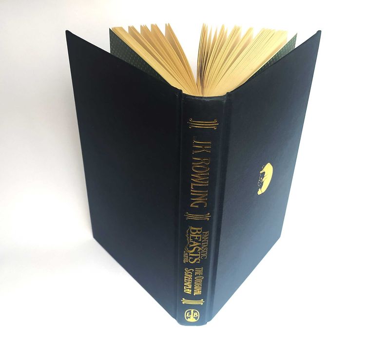 NOVO — Fantastic Beasts and Where to Find Them, Harry Potter