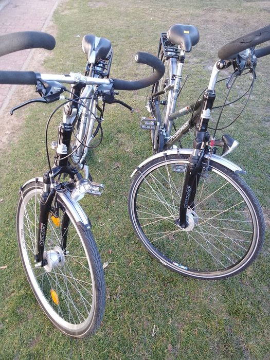 Rower damka męski 28 cali Pegasus