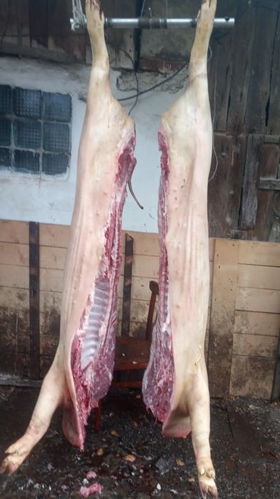 Свинина домашня .