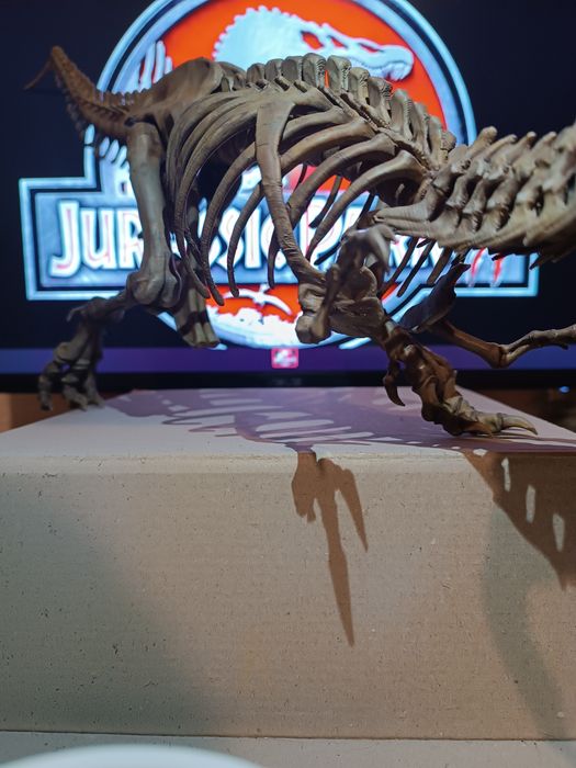 Скелет тиранозавр Рекс. T-Rex