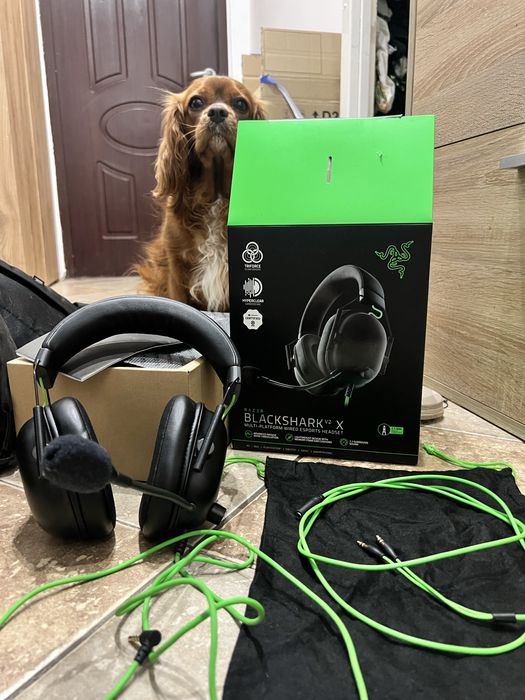 Razer Blackshark v2 X
