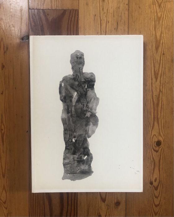 Livro Do Negro a Luz de Ilda David