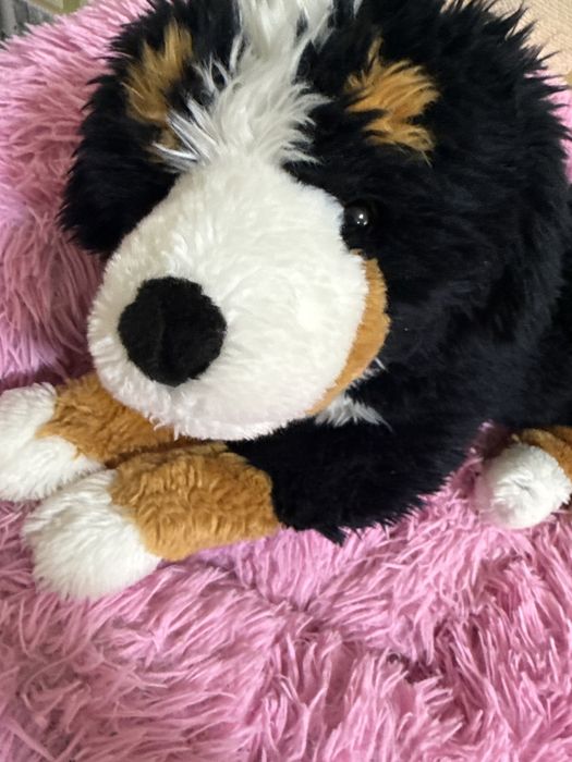 Іграшка,  собака Бу, Лежача