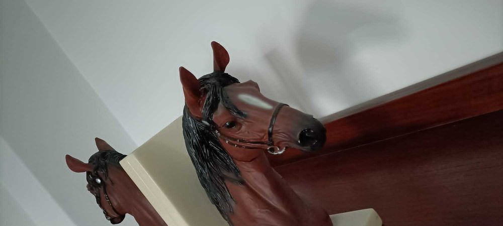 Cerra livros com cavalos