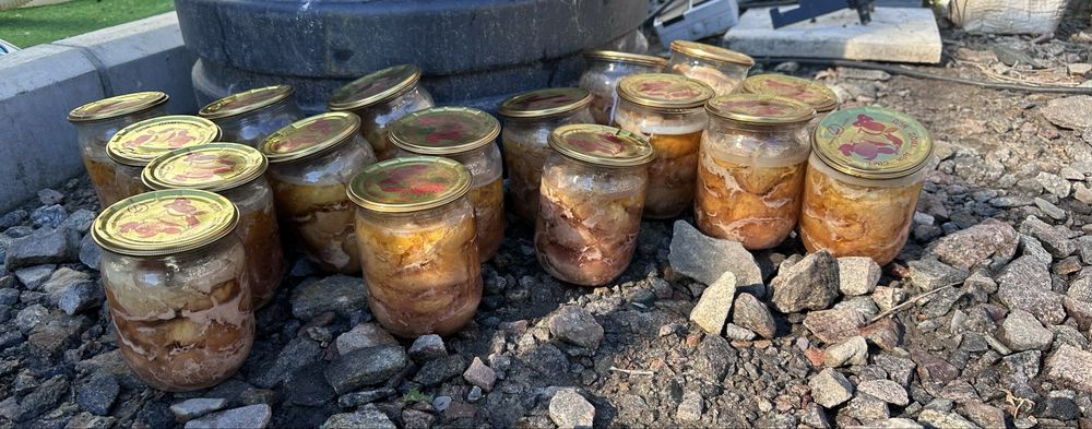 Тушонка домашня, свинина, курка 100% мяса
