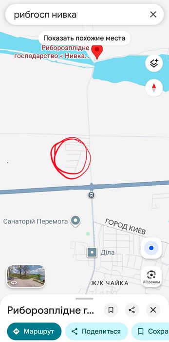 Загубилась собака