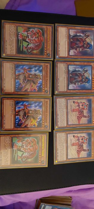 Deck yugioh amazoness430179506696366081