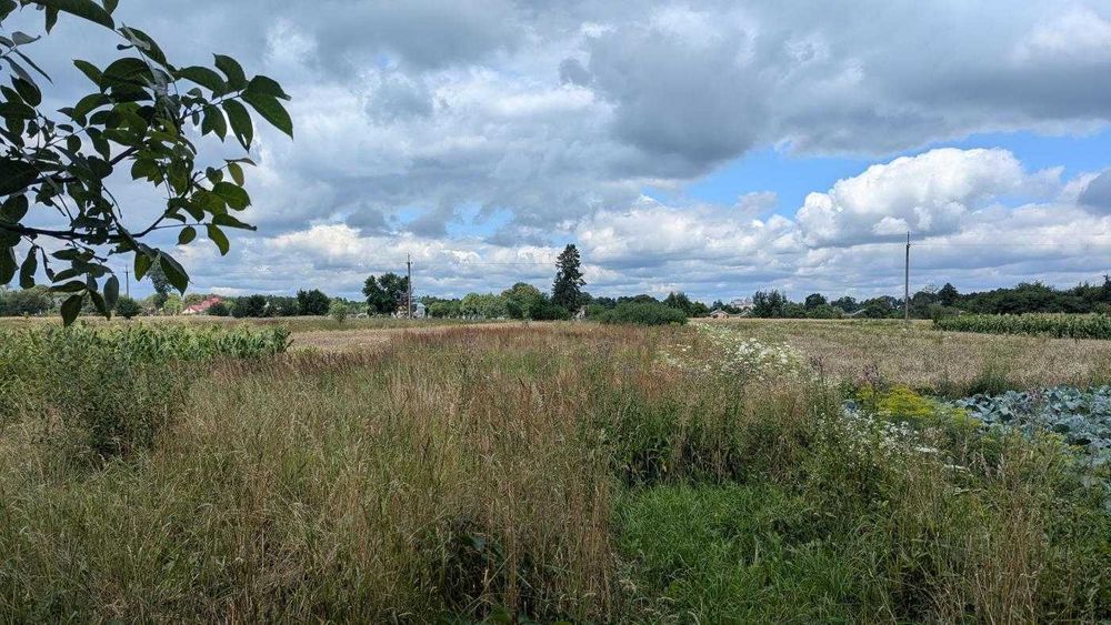 Продається ділянка під будівництво у с. Липівка(12)