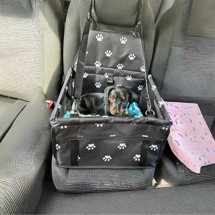 TRANSPORTER dla psa kota FOTELIK samochodowy mata z kieszenią PODRÓŻNY