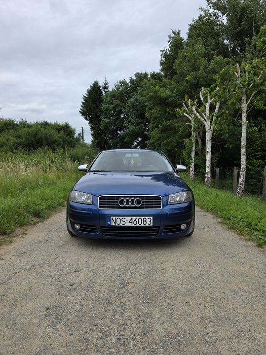 Audi A3 8P 1.9TDI 105Km
