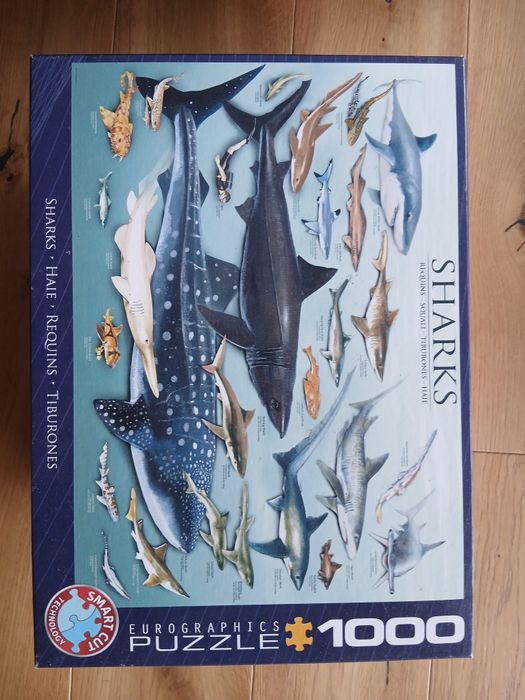 Puzzle rekiny 1000 elementów